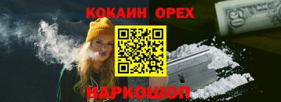 индика Новодвинск