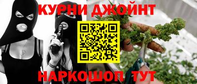 индика Новодвинск