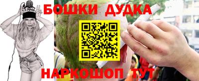 индика Новодвинск