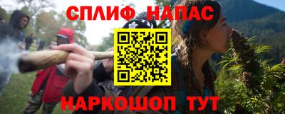индика Новодвинск