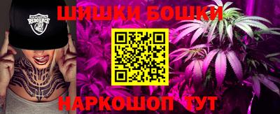 индика Новодвинск