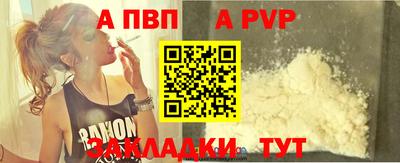 индика Новодвинск