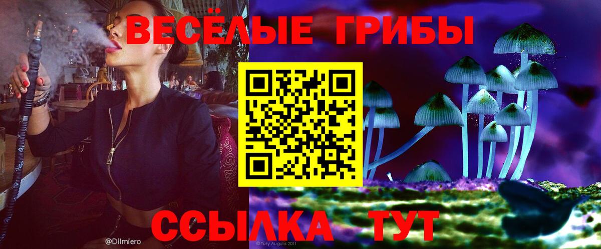 Псилоцибиновые грибы GOLDEN TEACHER Серпухов